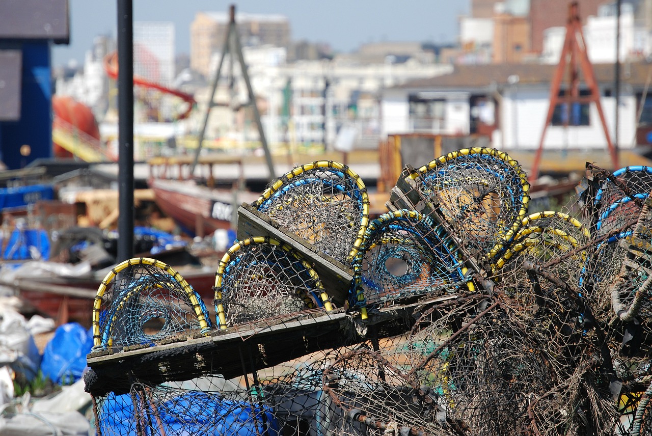 lobster pots beach seafood free photo