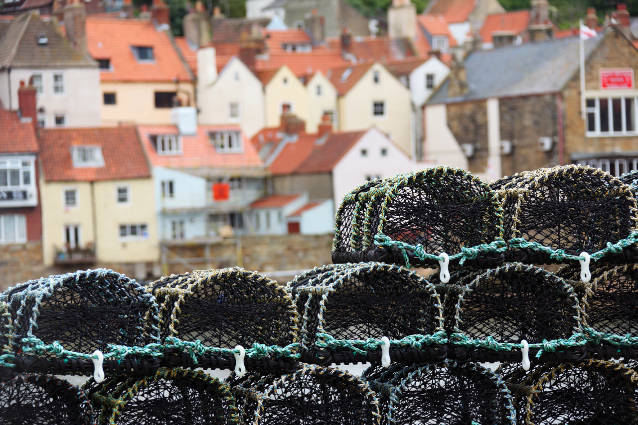 basket catch crab free photo