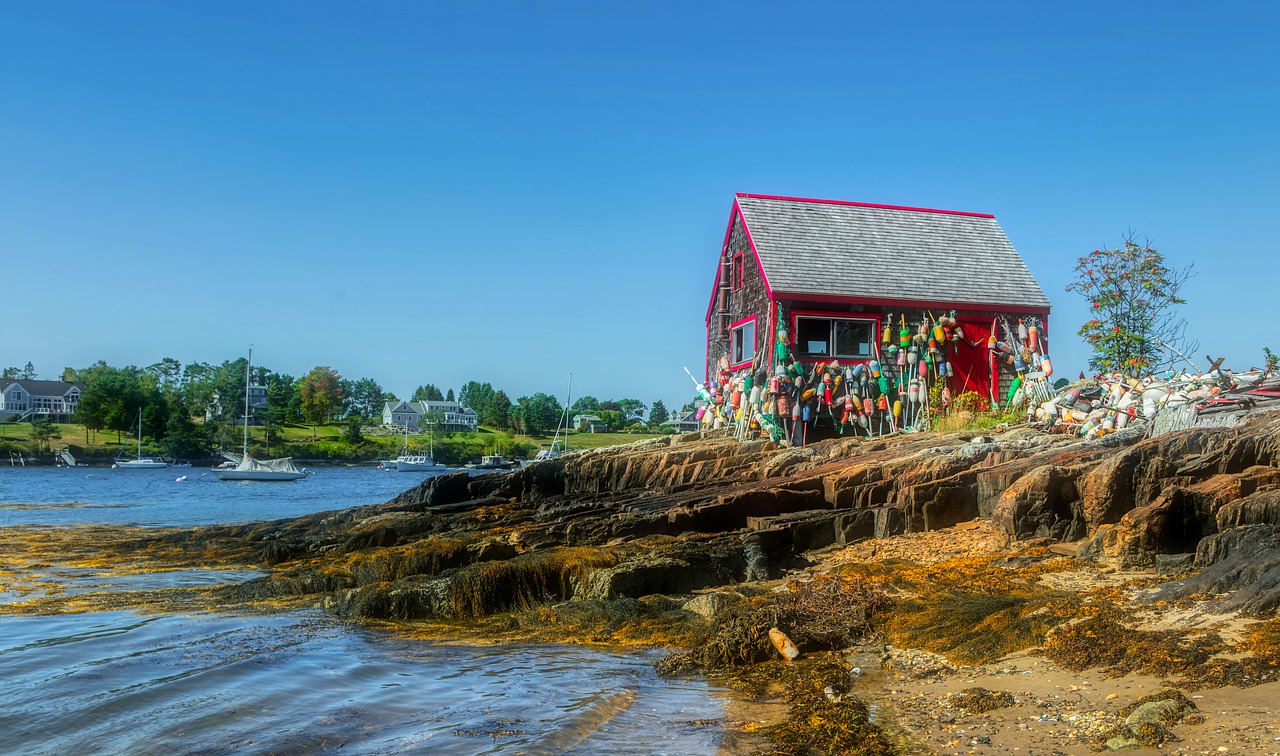 lobster shack  buoys  bay free photo