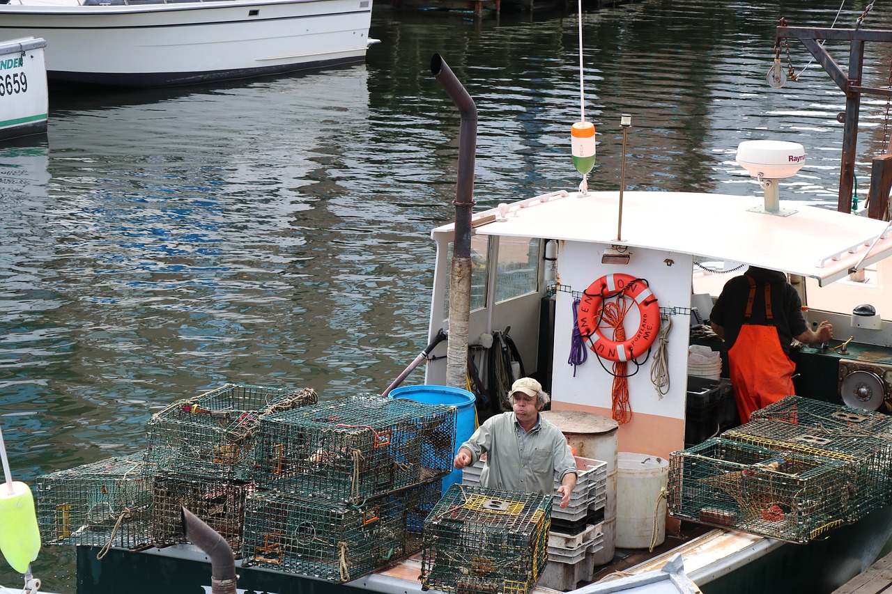 lobster traps lobster fishing boat portland maine free photo