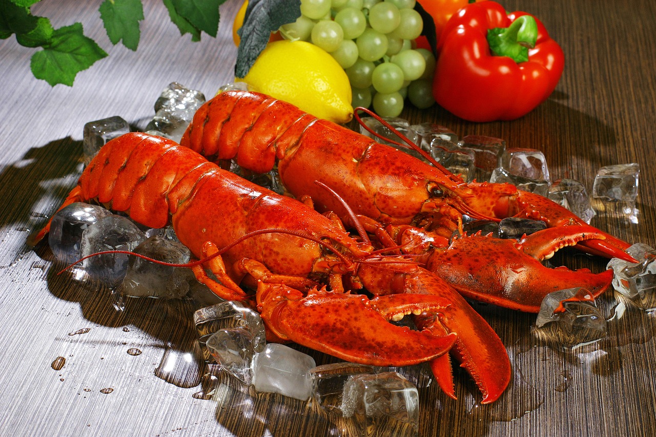 lobsters lobster food free photo