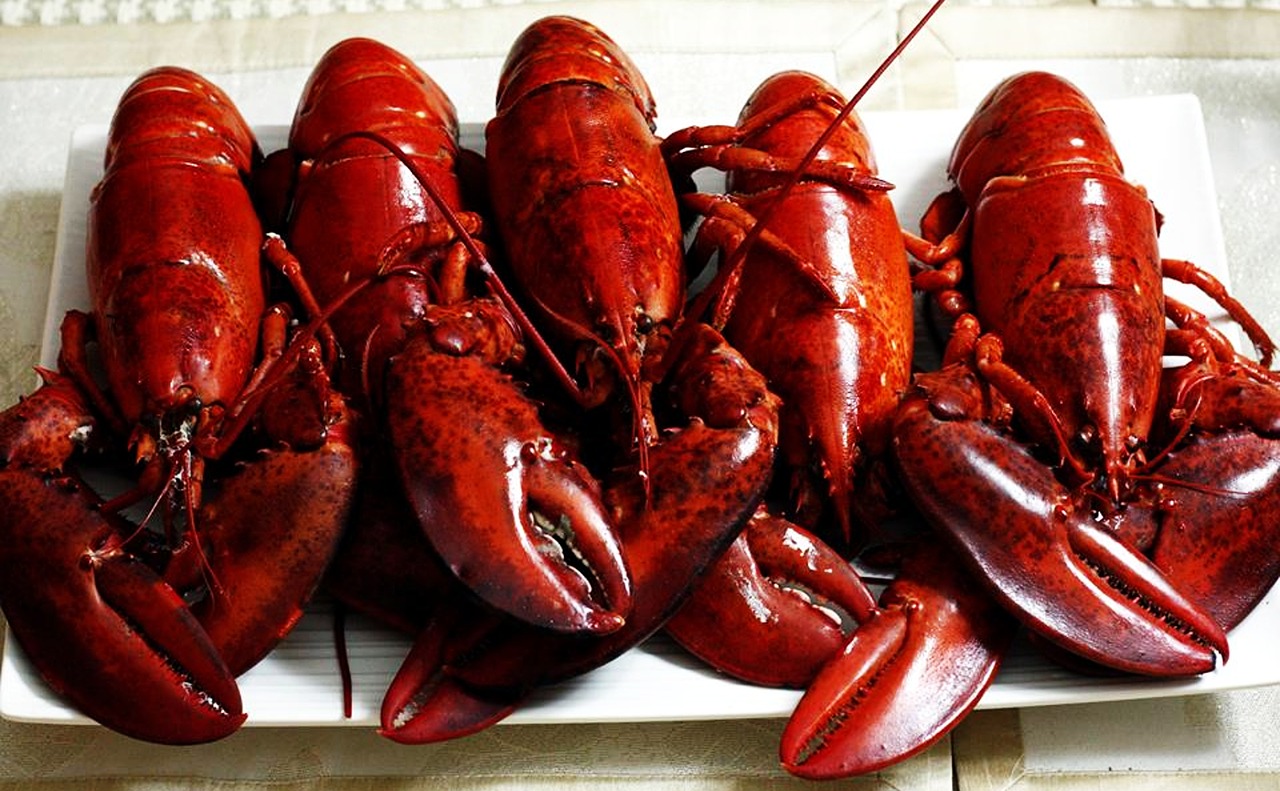 lobsters dinner seafood free photo