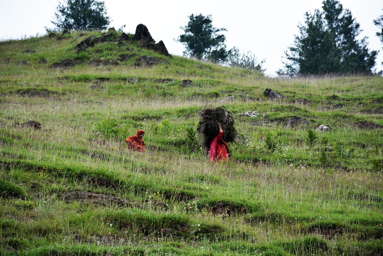 local people green kashmir free photo