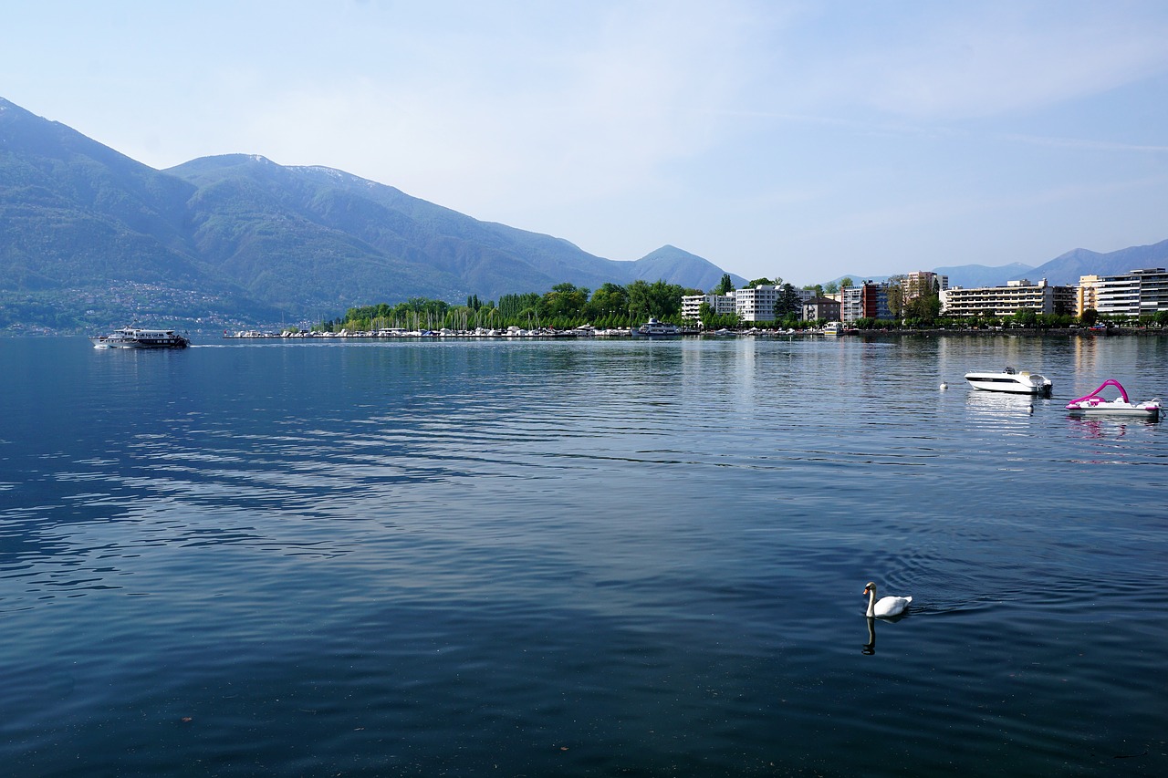 locarno  film  festival free photo