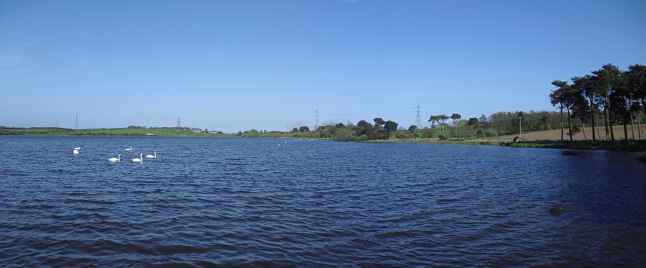 loch gelly loch scotland free photo