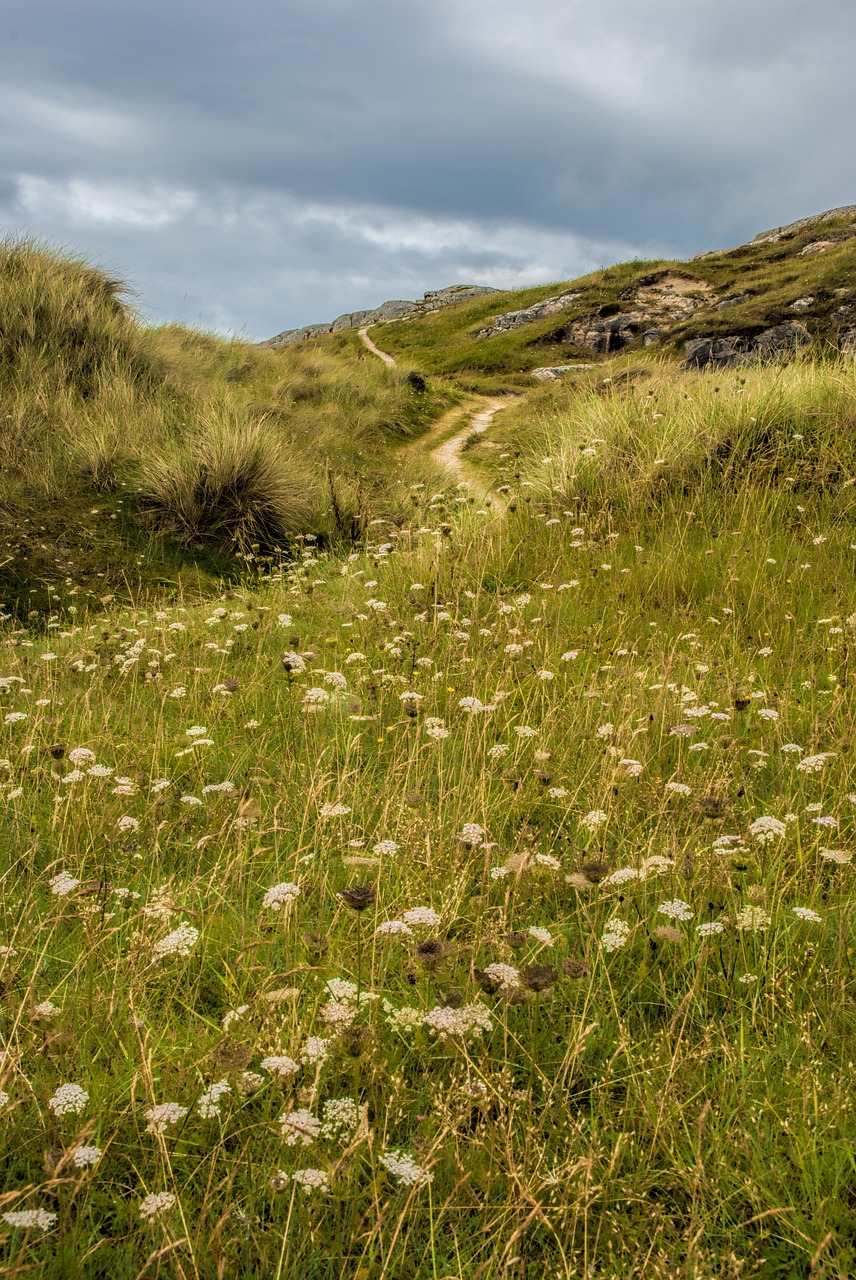 lochinver coast scotland free photo