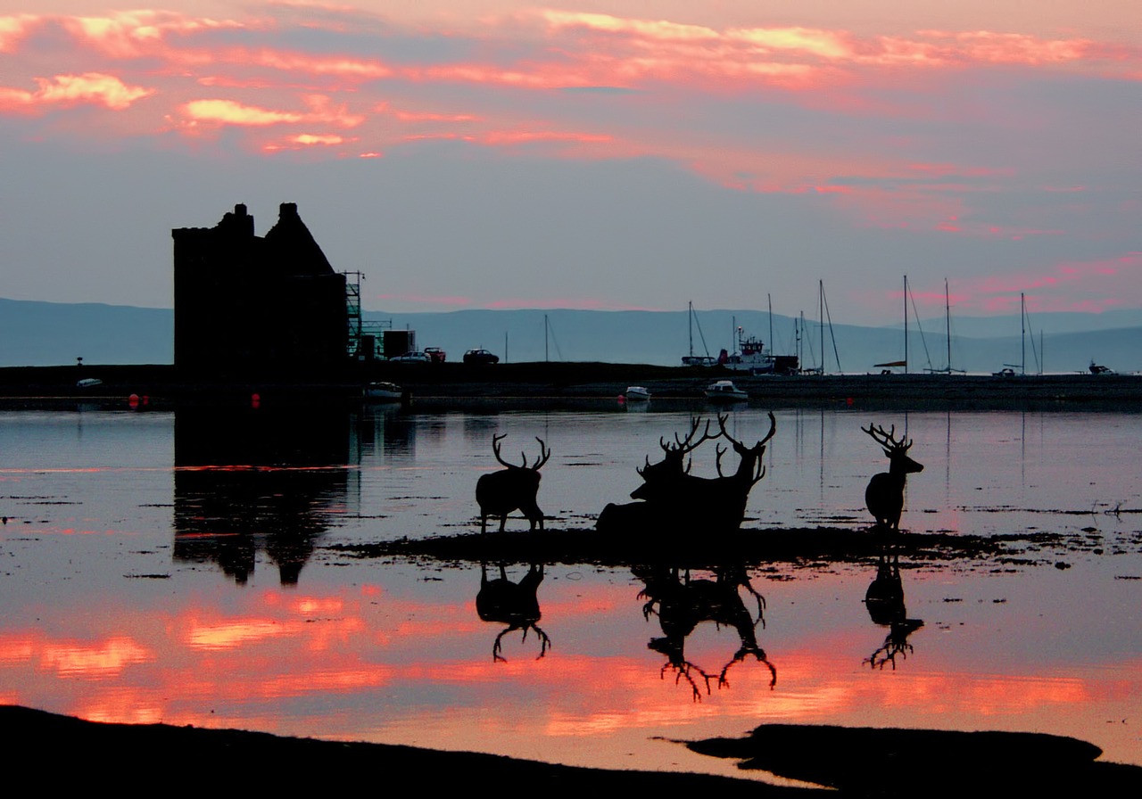 lochranza isle of arran castle free photo