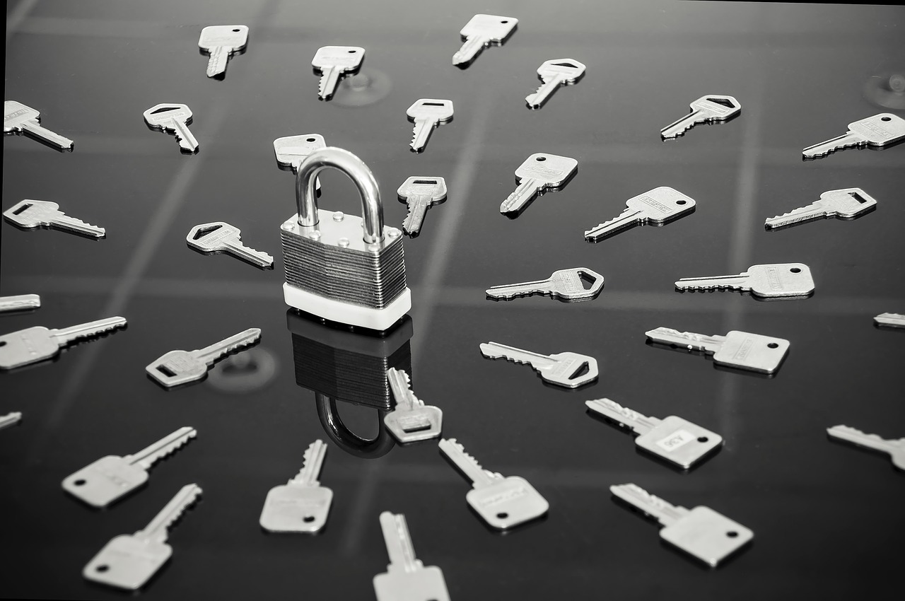 lock keys black and white free photo