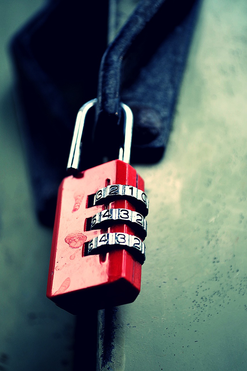 lock  red  key free photo