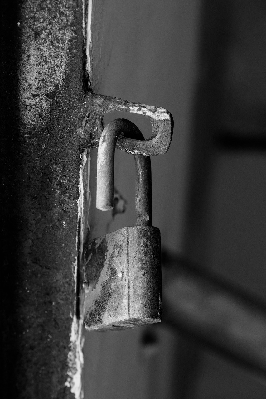 lock  black and white  texture free photo