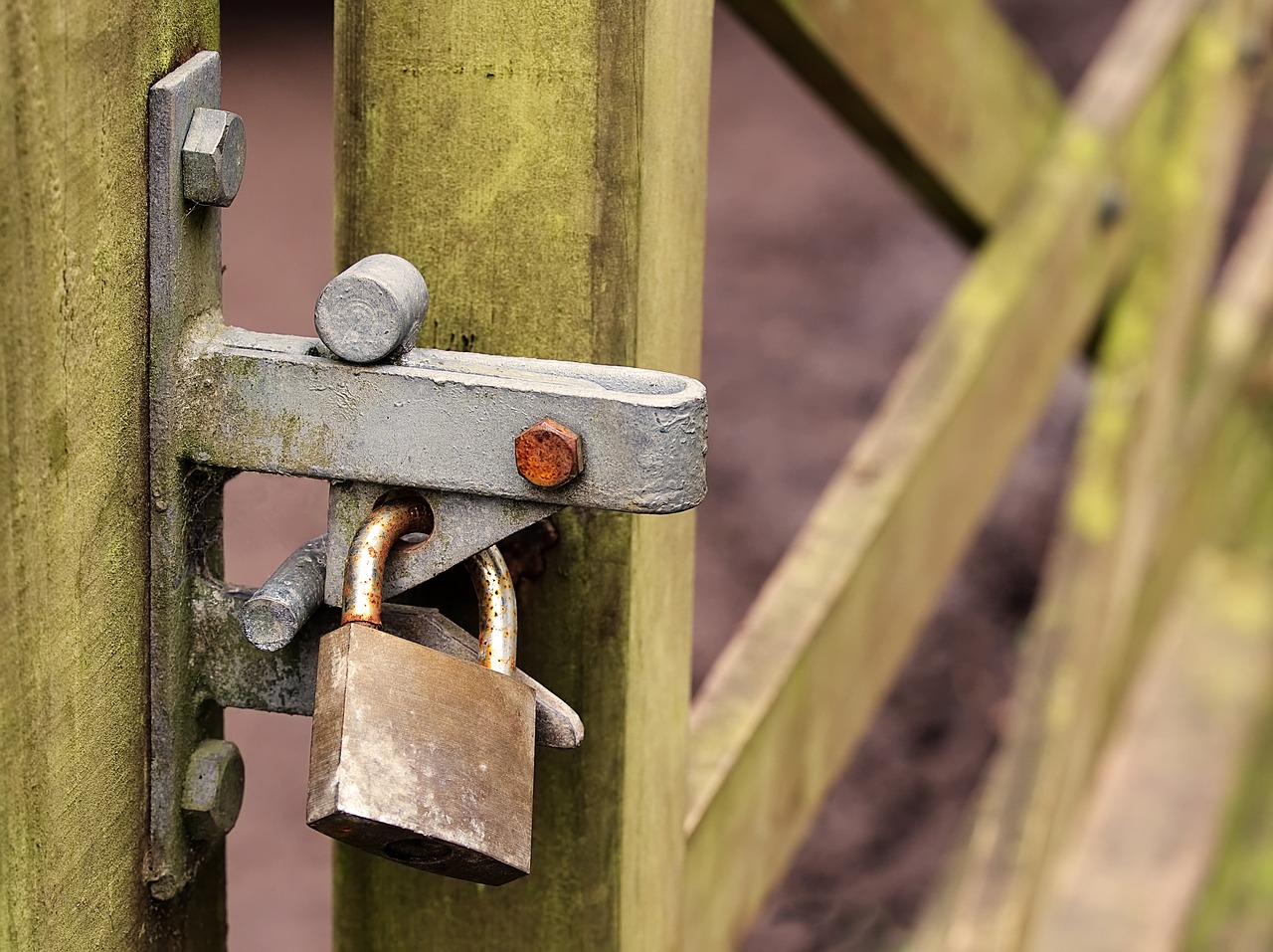 locked gate padlock free photo