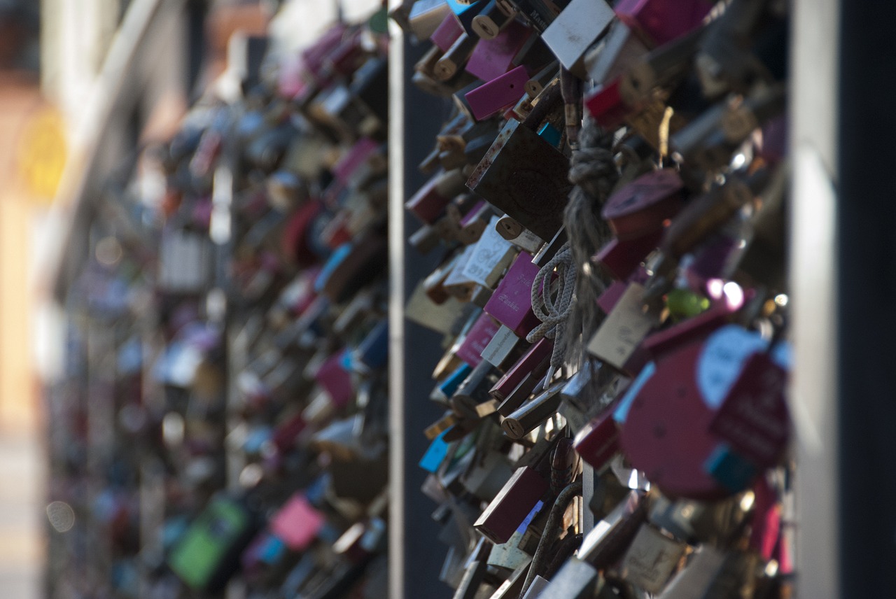 locks  bridge  love free photo