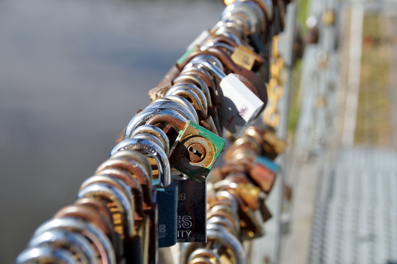 locks  padlocks  mansions free photo