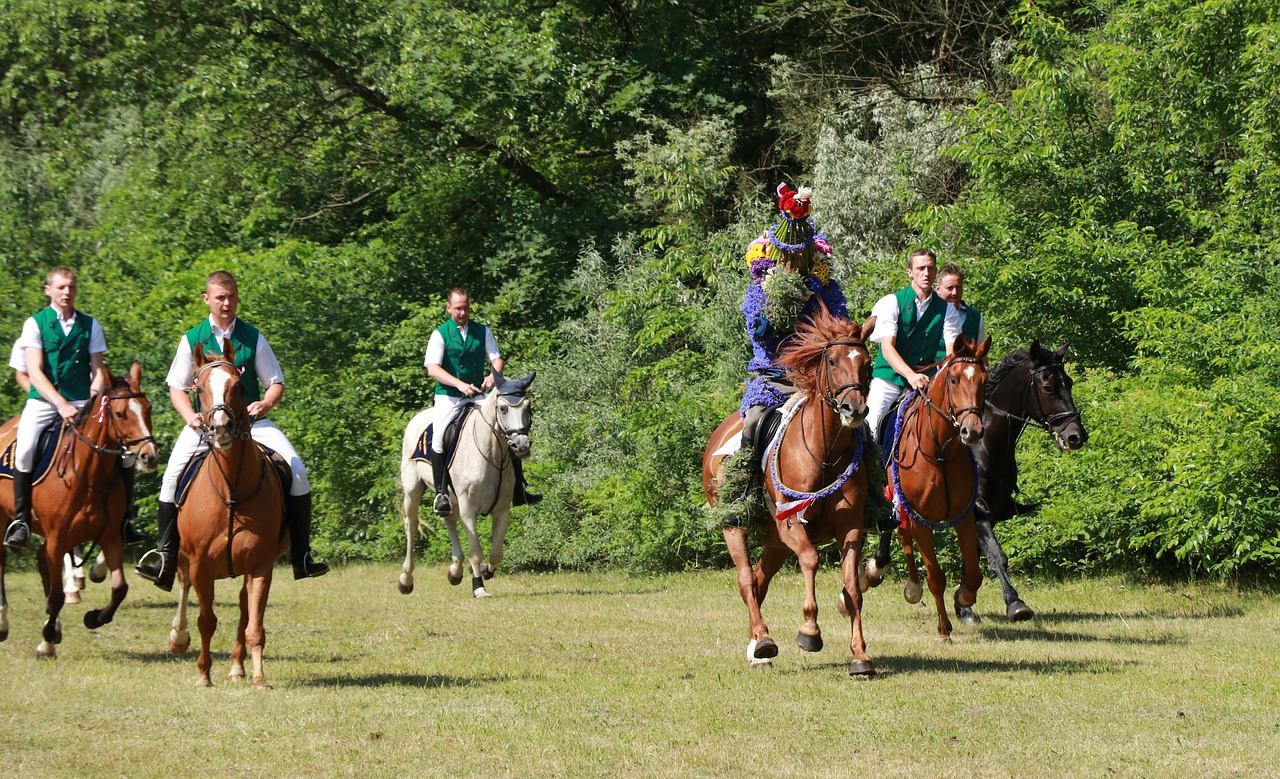 locust ride horse casel free photo