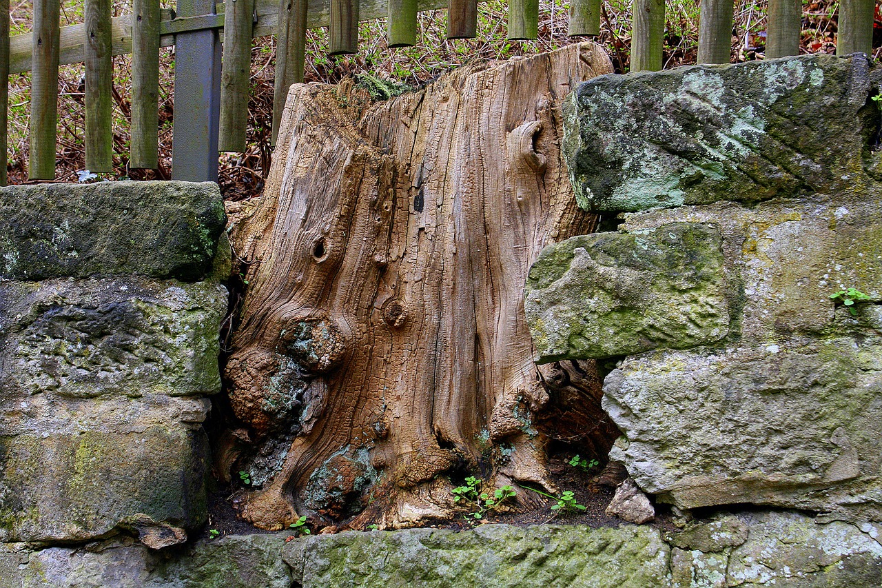 log wall fence free photo