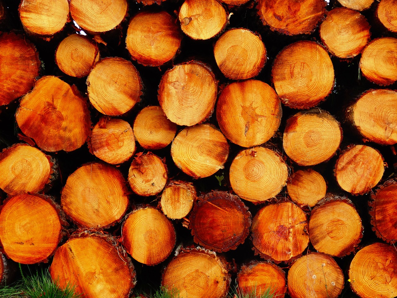 log wood holzstapel free photo