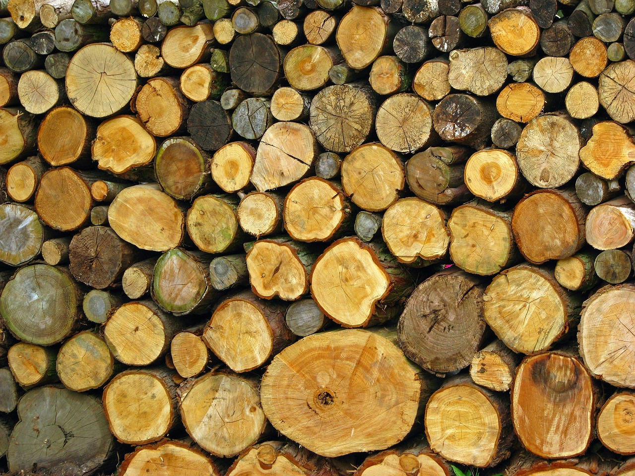 log logs pile free photo