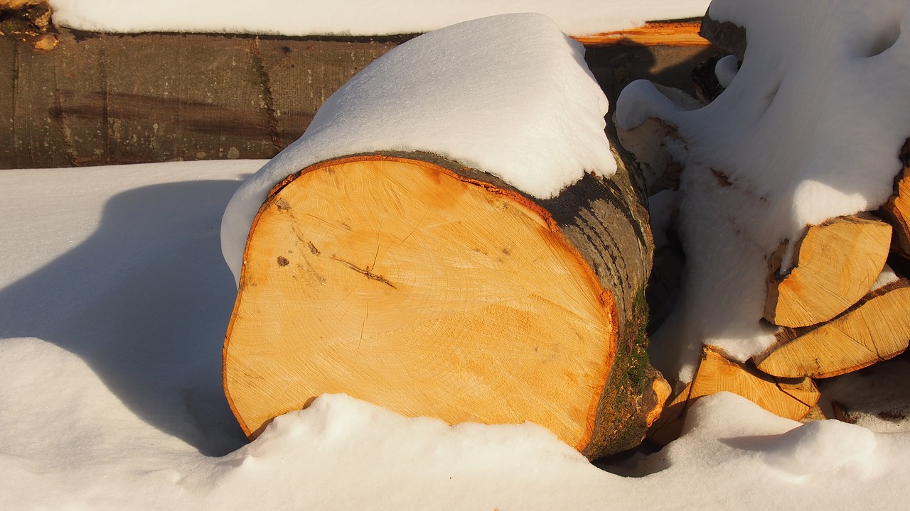 log wood snow free photo