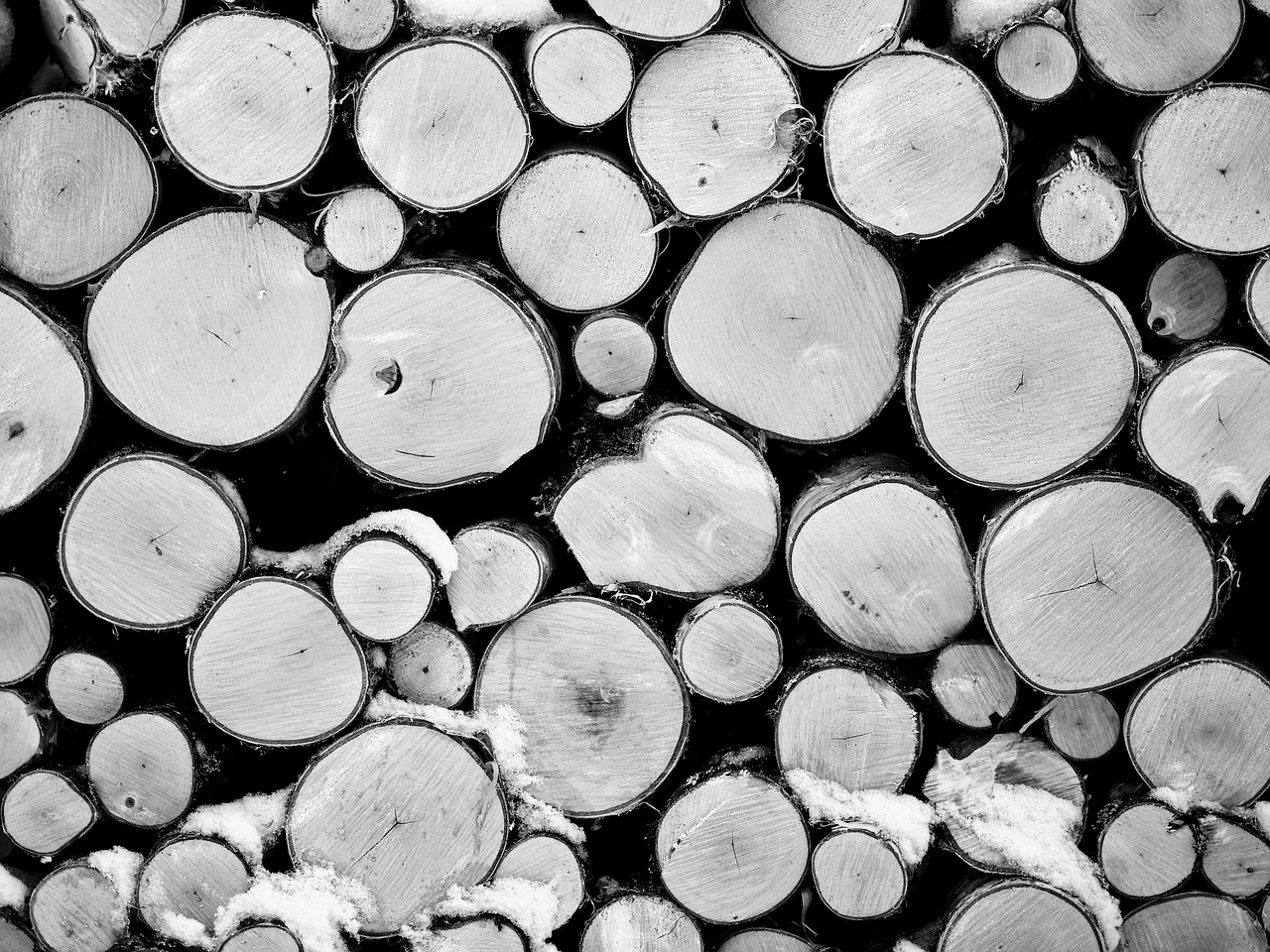 log wood finland free photo
