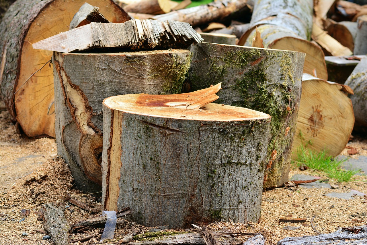 log wood wood beat free photo