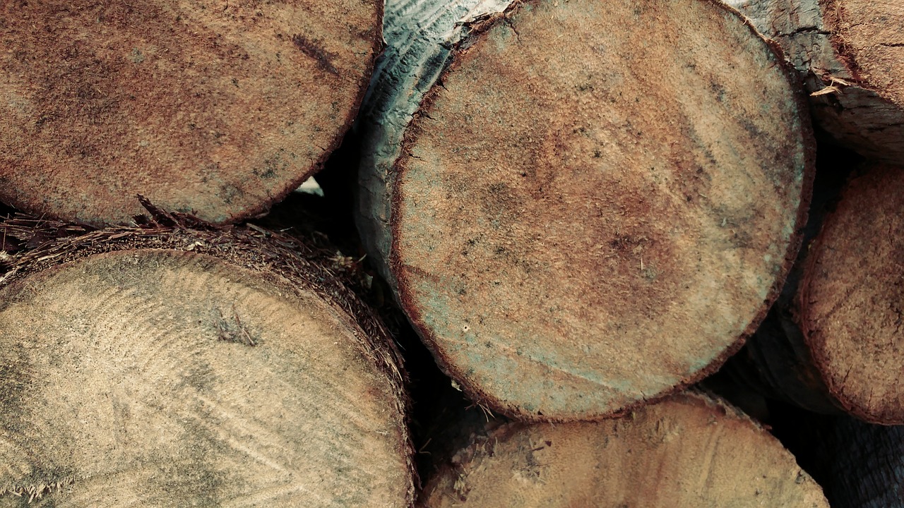 log firewood timber free photo