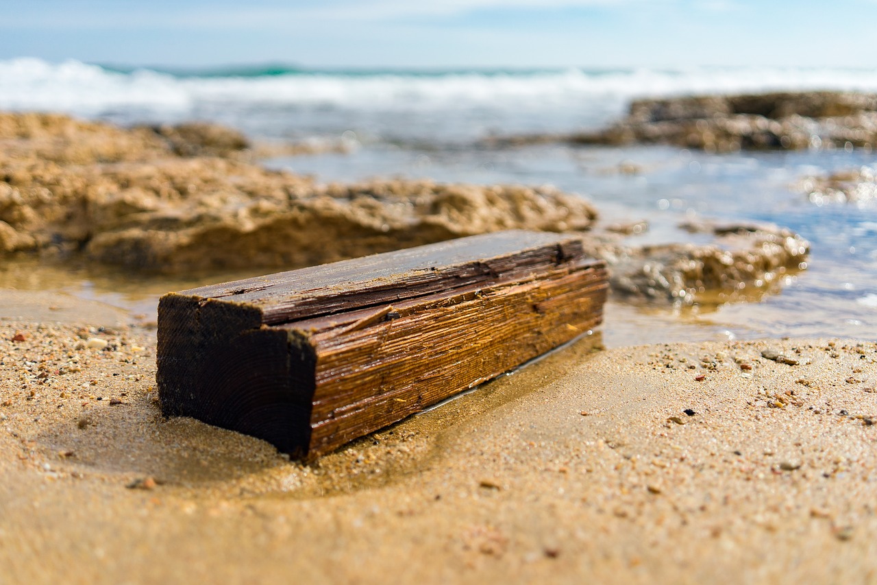 log beach wood free photo