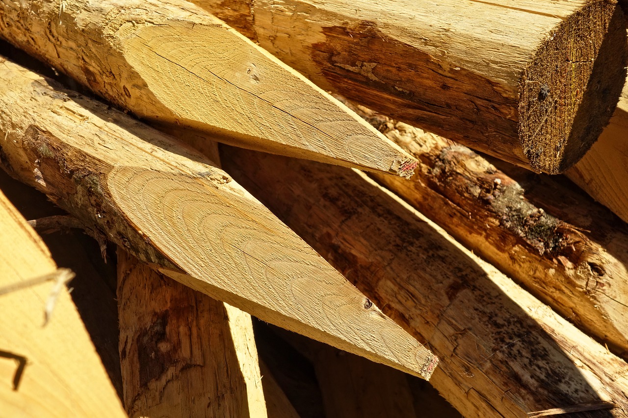 log  wood  cut free photo