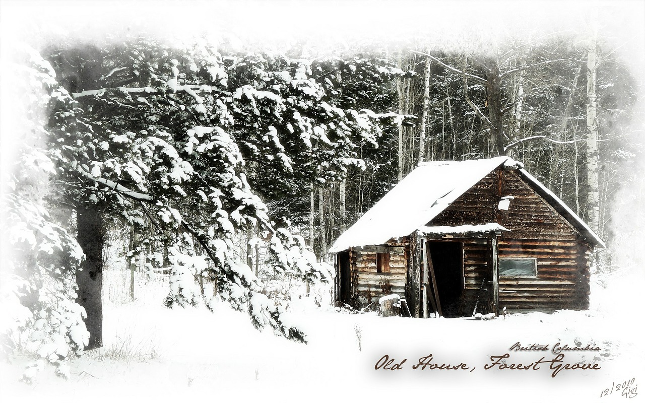 log cabin house free photo