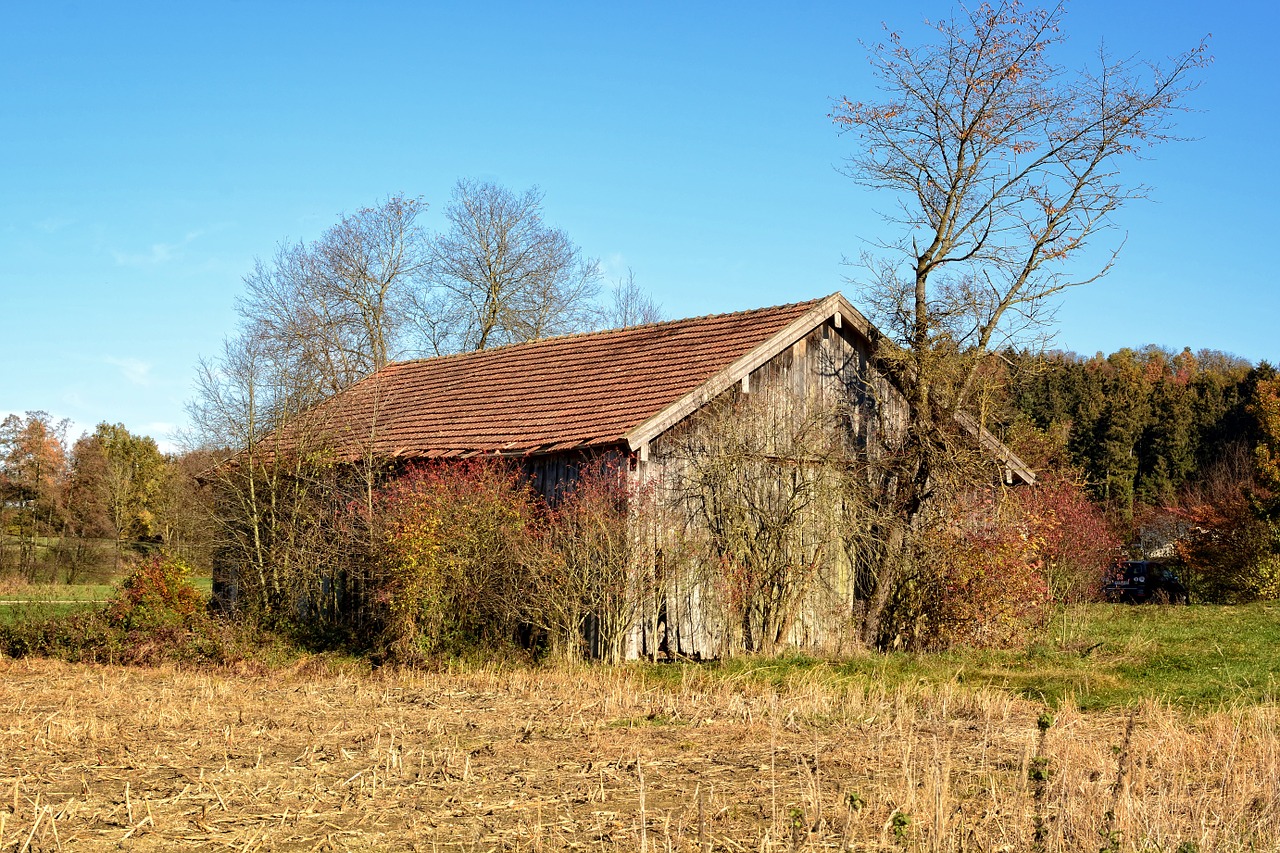 log cabin hut wood free photo