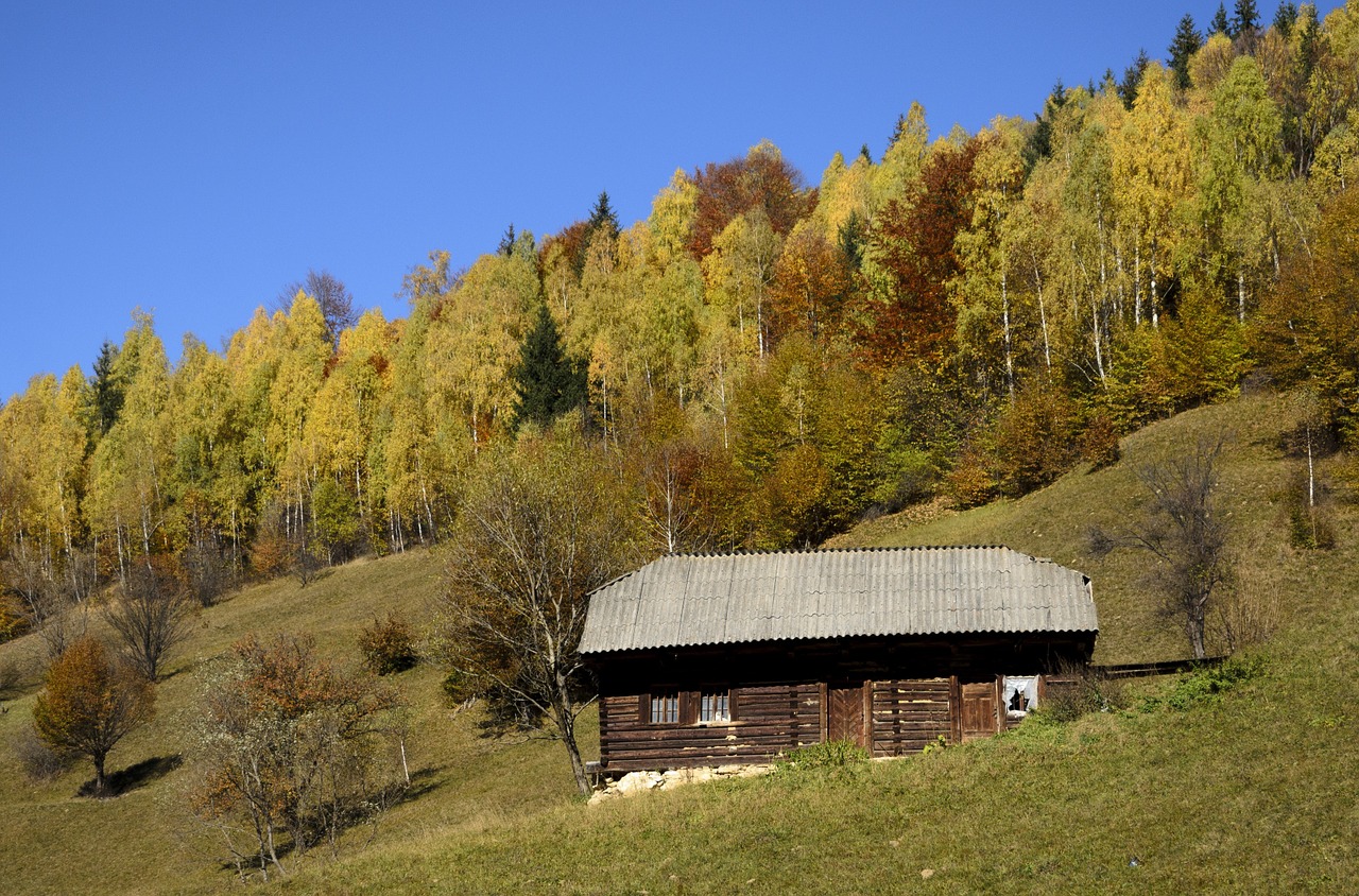 log cabin mountains valley free photo