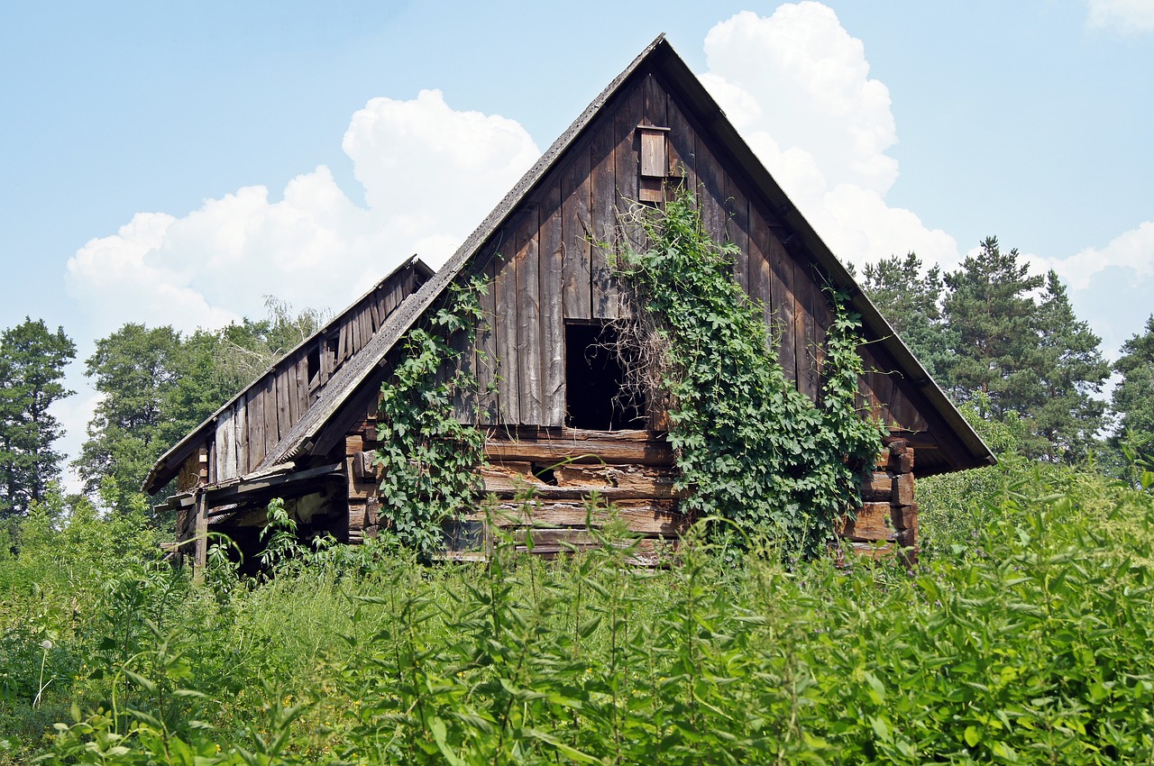 log cabin weathered overgrown free photo