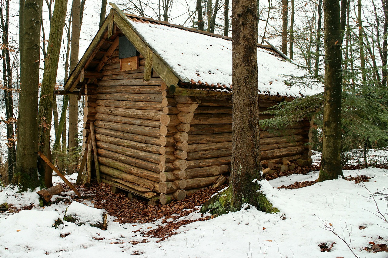 log cabin block house forest free photo