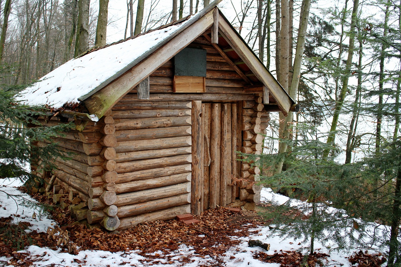 log cabin block house forest free photo