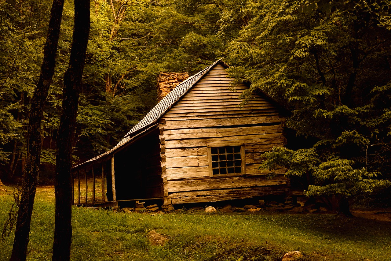 log cabin landscape old free photo