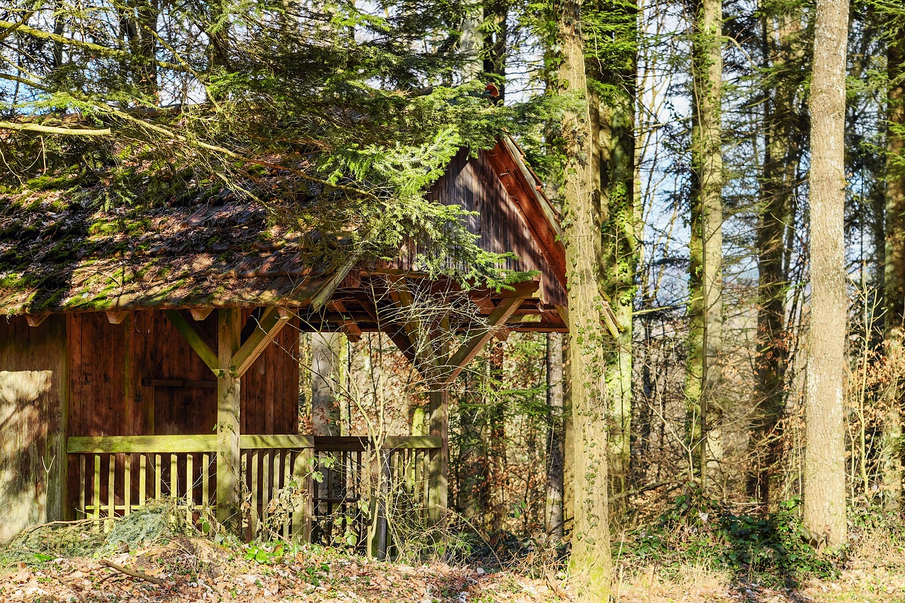 log cabin forest lodge seefeld free photo