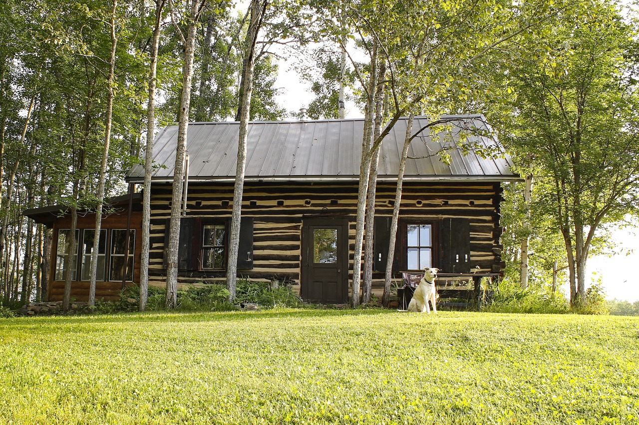 Download Free Photo Of Log Cabin Woods Lawn Lifestyle Architecture