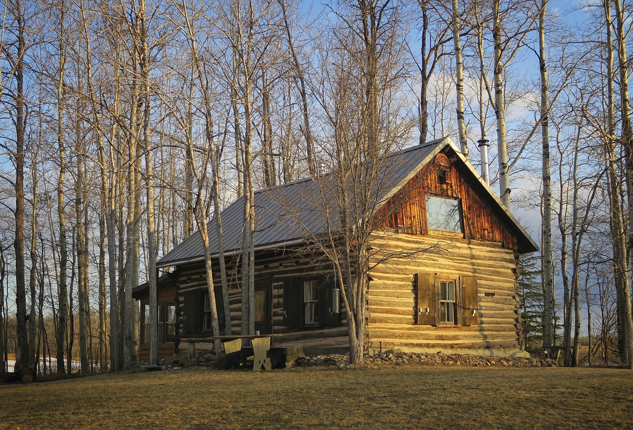 log cabin  architecture  forest free photo