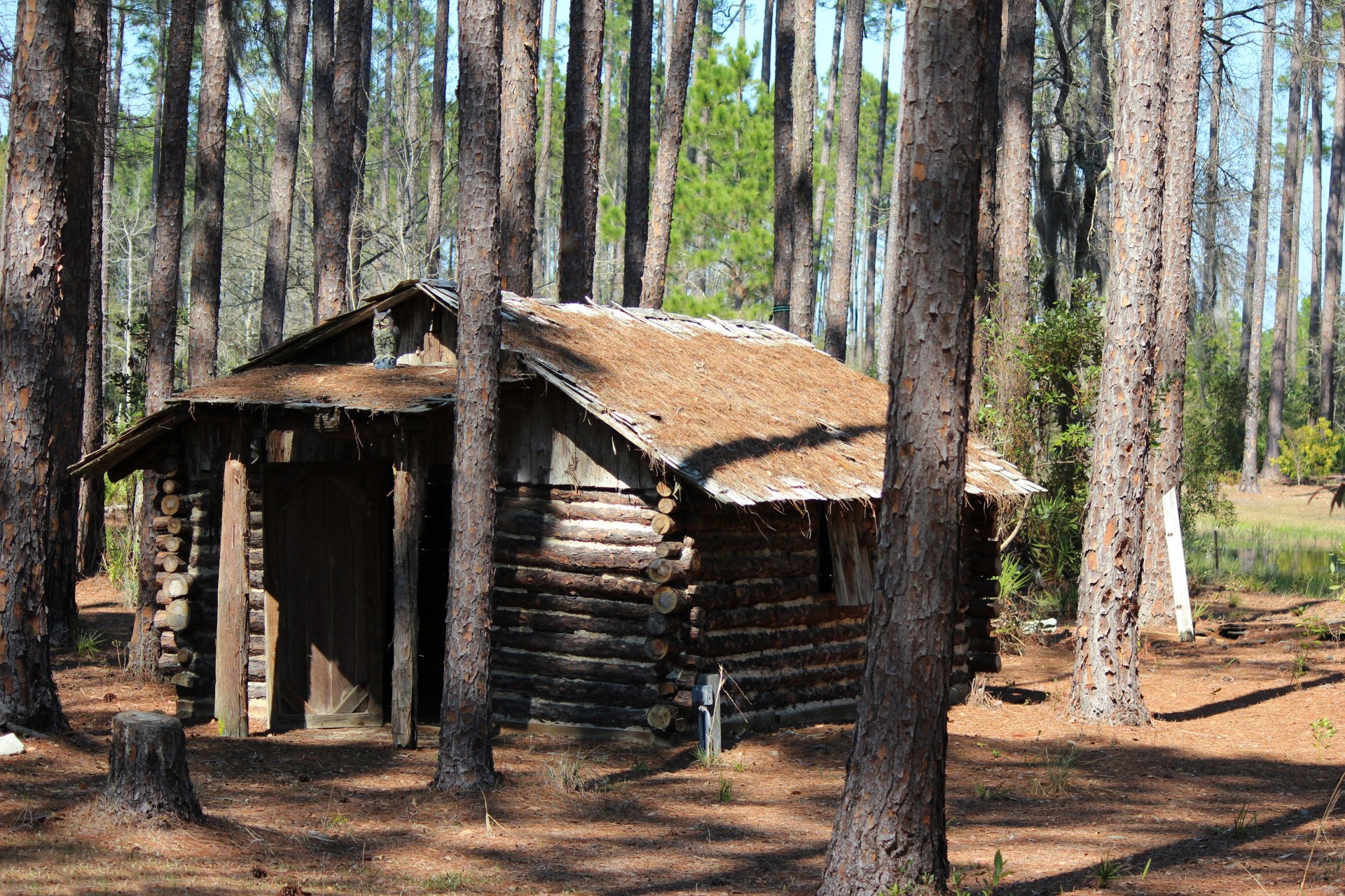 log cabin cherokee swamp free photo