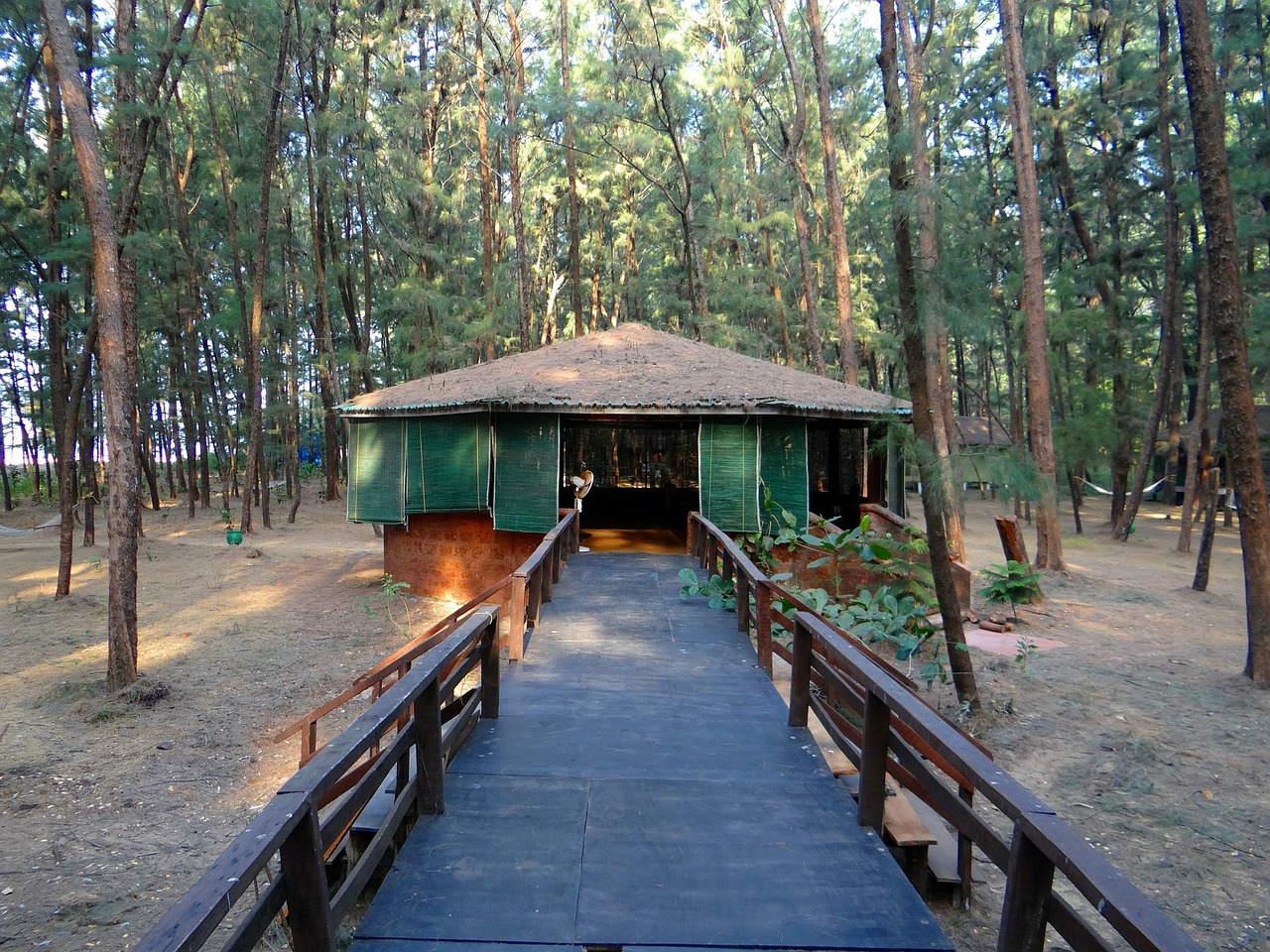 log hut circular forest free photo