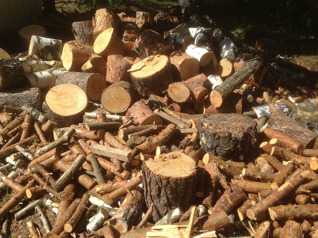 log pile halos tree free photo