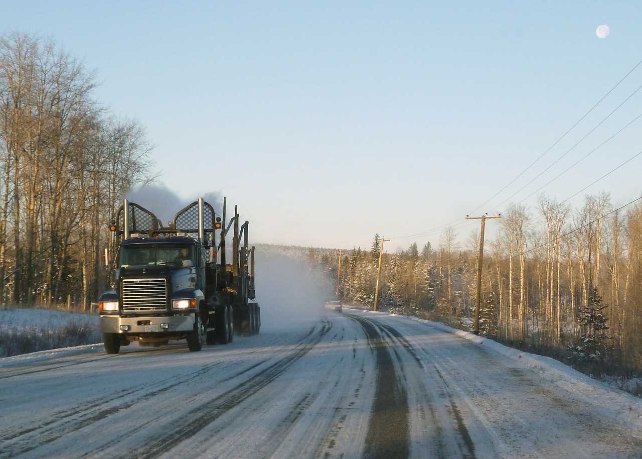 logistics logging truck free photo
