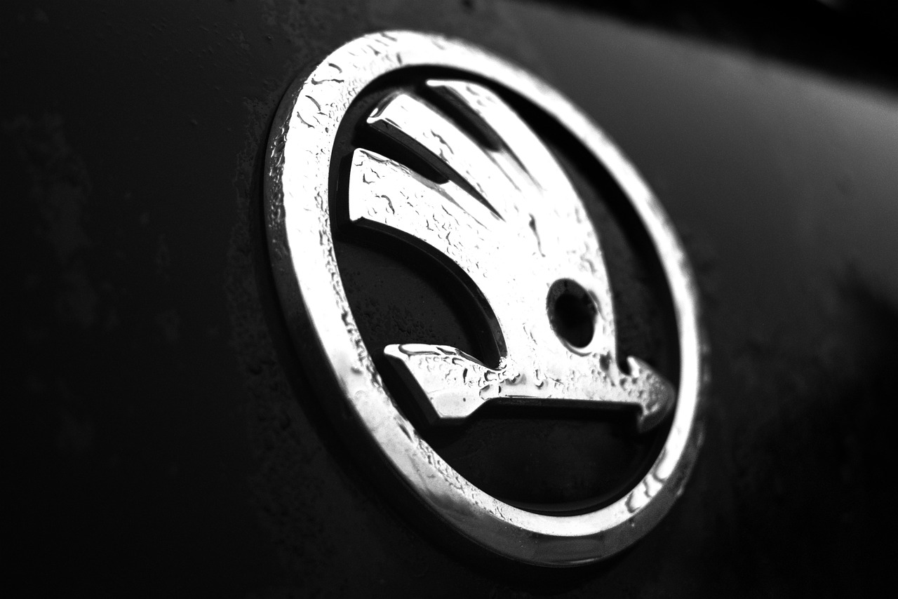 logo skoda car skoda free photo