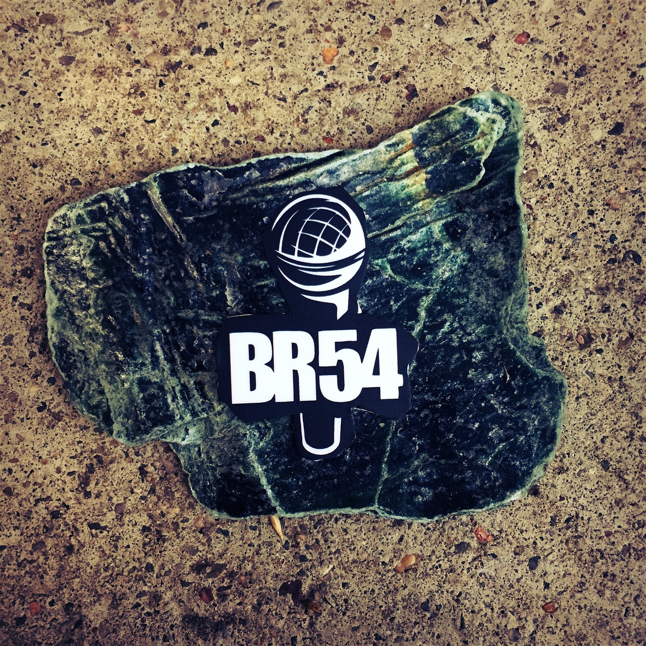 logo br54 logo type free photo