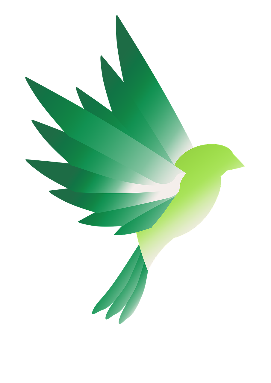 logo  bird  green free photo