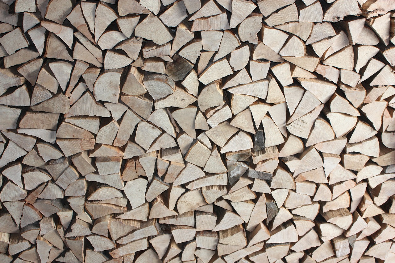 logs wood fire free photo