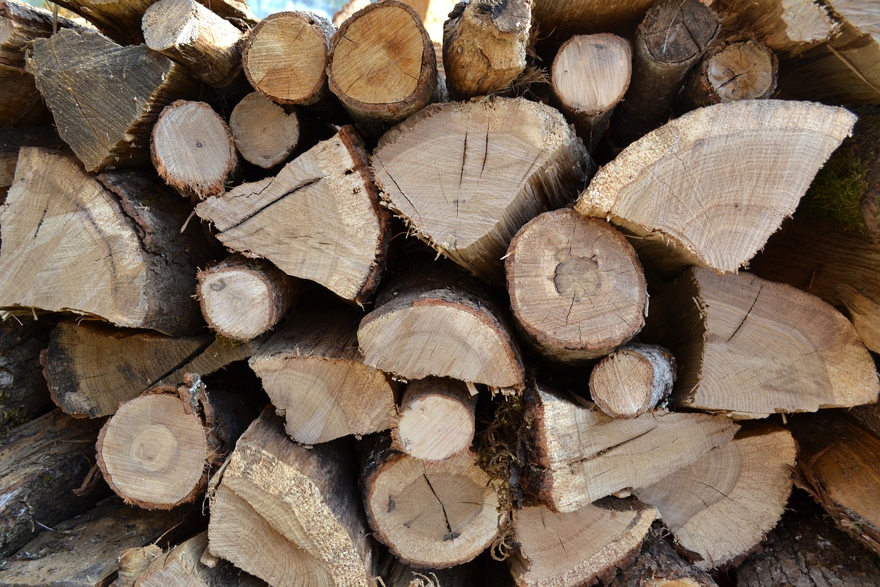 logs firewood wood pile free photo