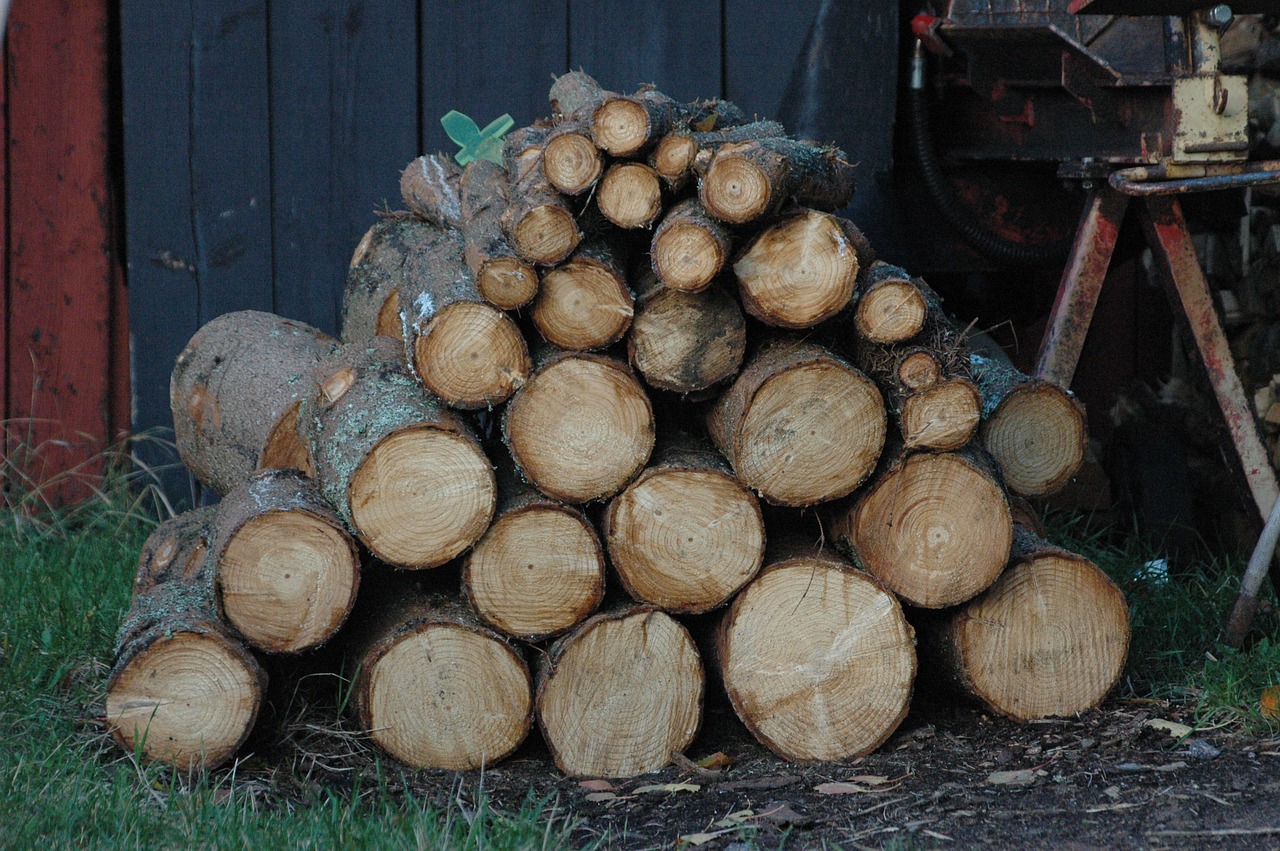 logs timber tree free photo