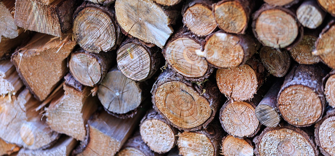 logs tree wood free photo