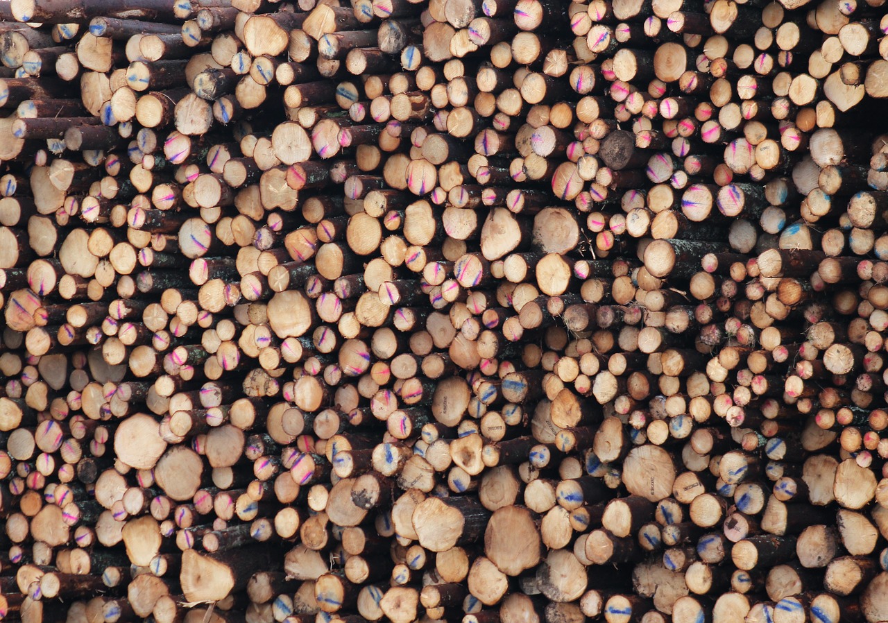 logs wood lumber free photo