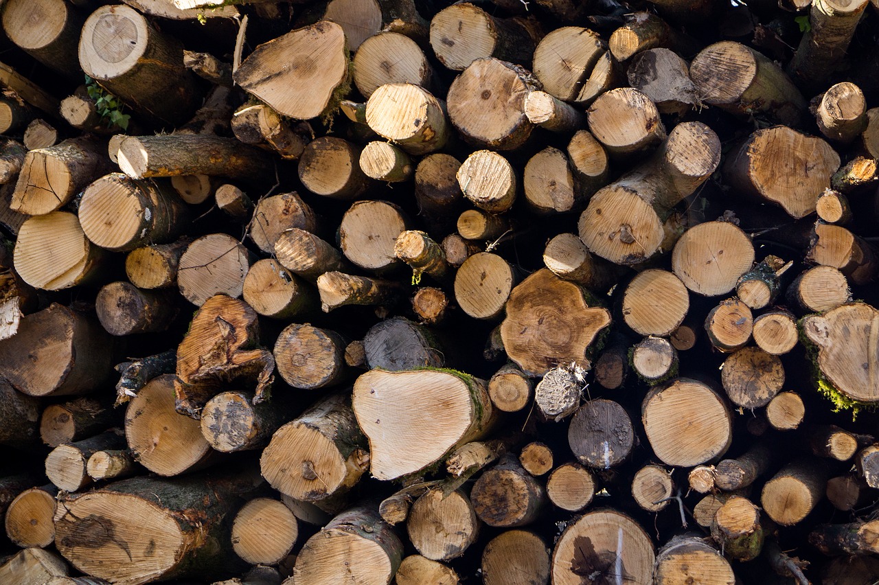 logs wood woodpile free photo